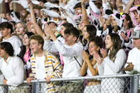 VOR_fans_07