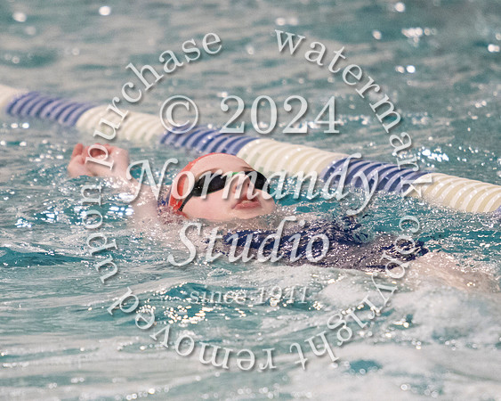 MSM_sw_03