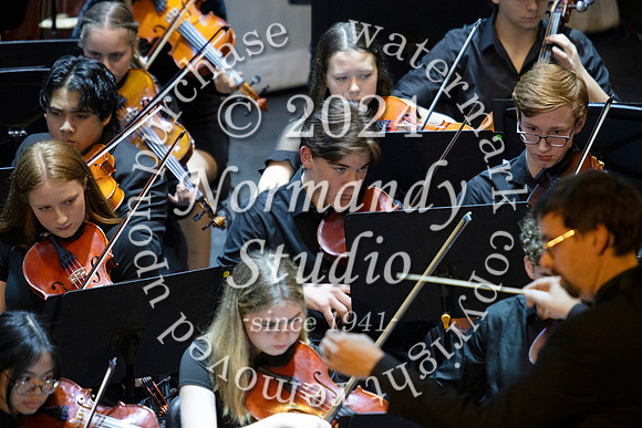 WHS_orchestra_46