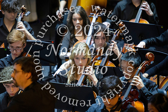 WHS_orchestra_47