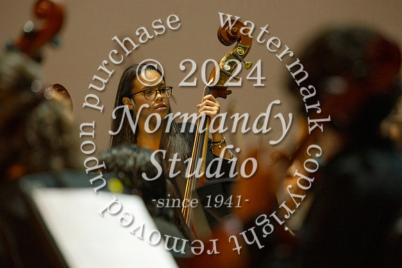 WHS_orchestra_05