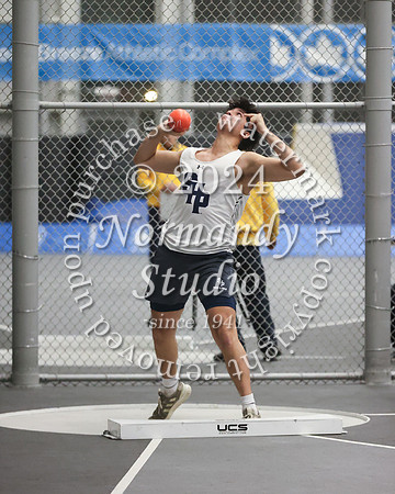 SHP_wt-b_53