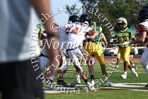 SVL_fb-f_62
