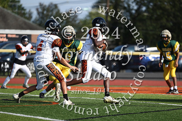 SVL_fb-f_37