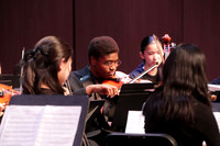 WTG_concert_13