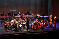 WTG_concert_20