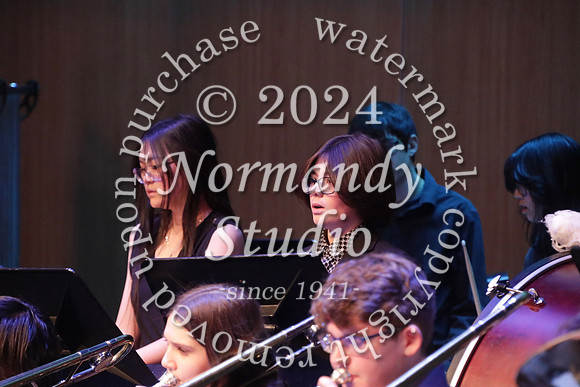 WTG_concert_46