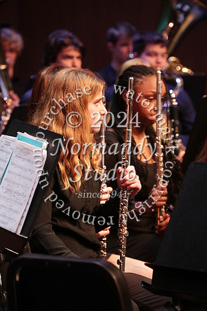 WTG_concert_54