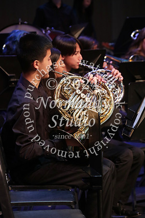 WTG_concert_55