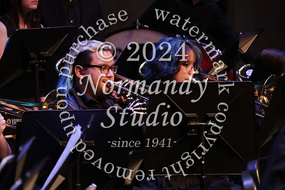 WTG_concert_57