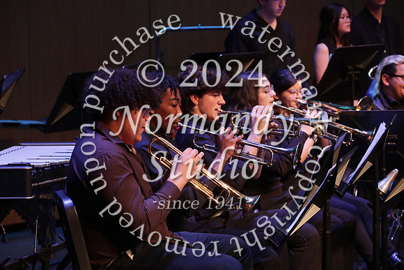 WTG_concert_60
