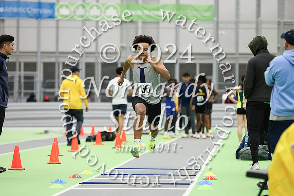 IMC_wt-b_39