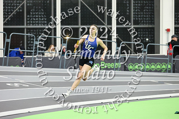 UCH_wt-g_41