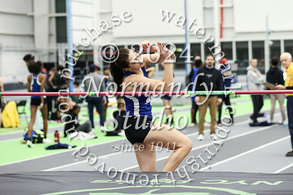 UCH_wt-g_69