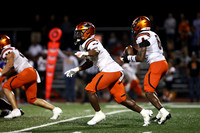 SVL_fb_10