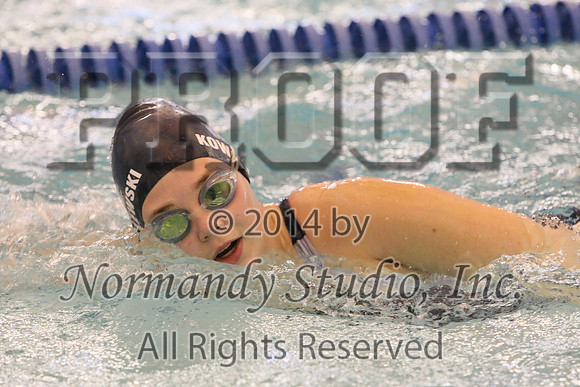 WMC_199_sw-g