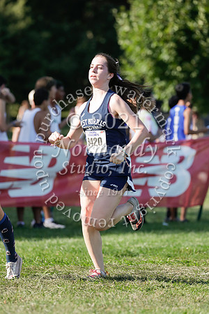 WMC_08_cc-g