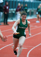 RAM_tr-g_003