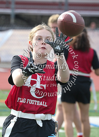 HCH_ff_33