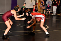 WRESTLING GIRLS