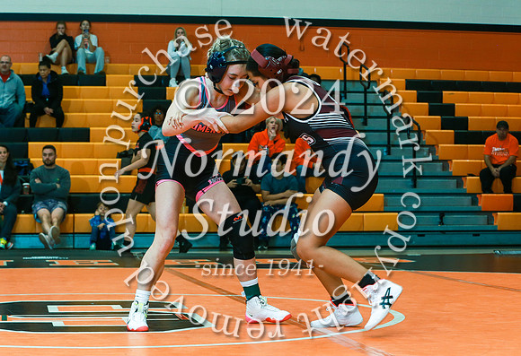 SVL_wr-g_19