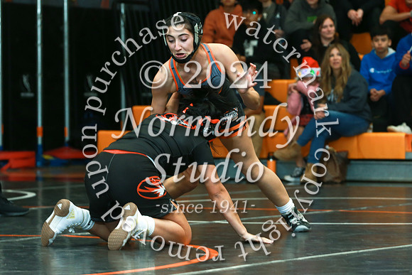 SVL_wr-g_36