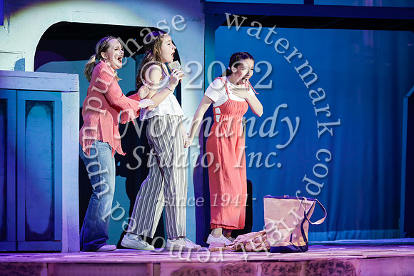 WHS_20_mama mia musical