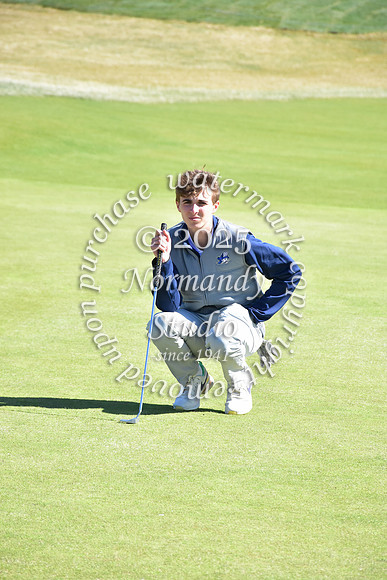 SHP_go_65