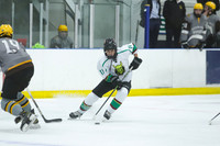 ICE HOCKEY