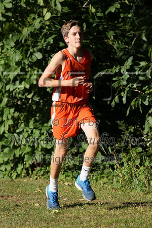 SVL_070_cc-b