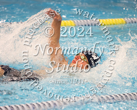 WMC_sw-b_25