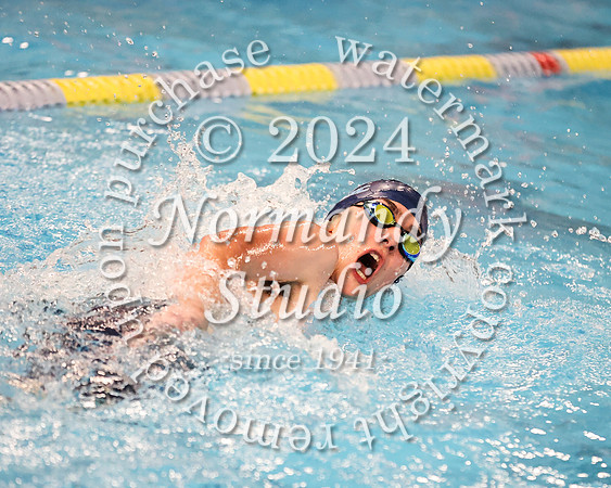 WMC_sw-b_41