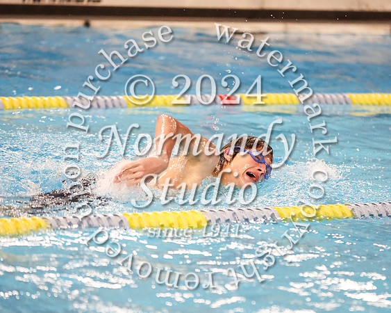 WMC_sw-b_80