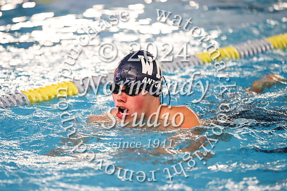 WMC_sw-b_01