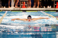 SWIMMING GIRLS