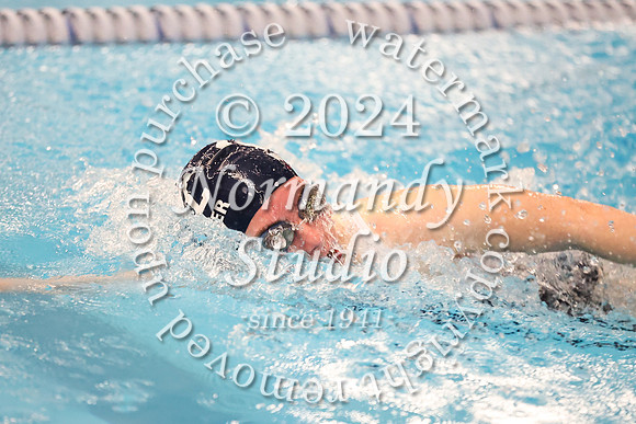WMC_sw-g_96