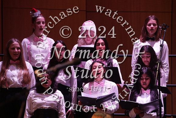 WTG_concert_33