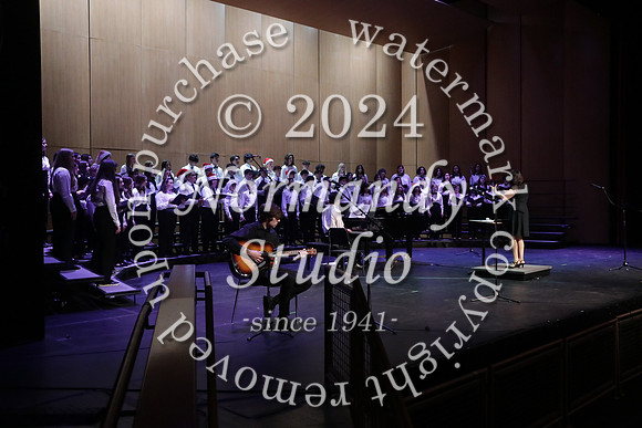 WTG_concert_37