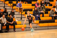 SVL_bb-b-f_20