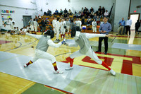 BER_fe-b_02
