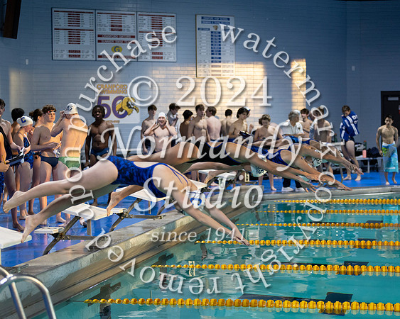 CHS_sw-b+g_19