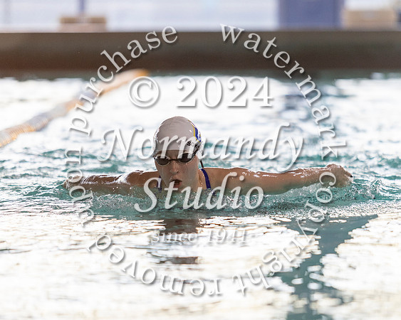CHS_sw-b+g_20