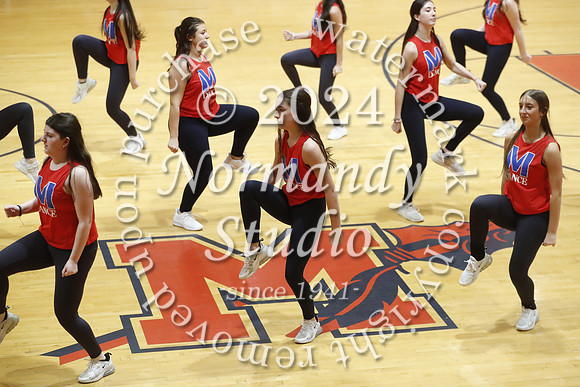 MNP_dt_48