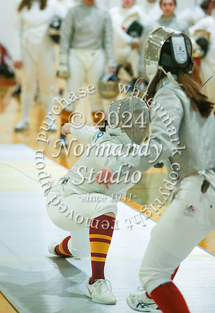 VOR_fe-g_33