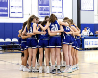WHS_bb-g_12