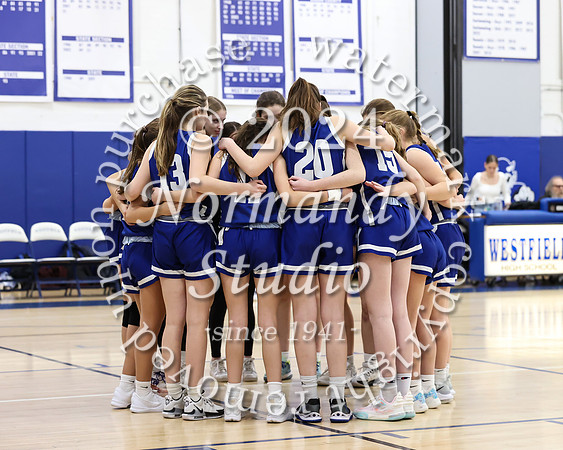 WHS_bb-g_12