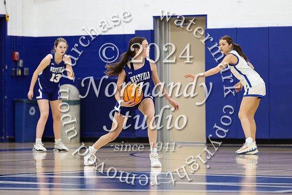 WHS_bb-g_30