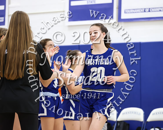WHS_bb-g_04