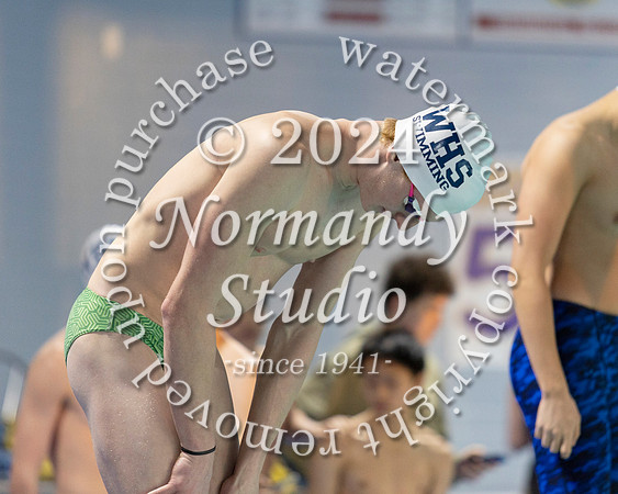 WHS_sw-b+g_16