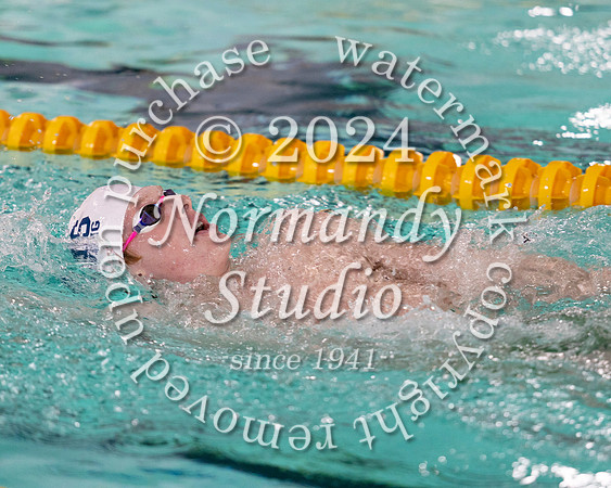WHS_sw-b+g_19